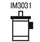 IM3031